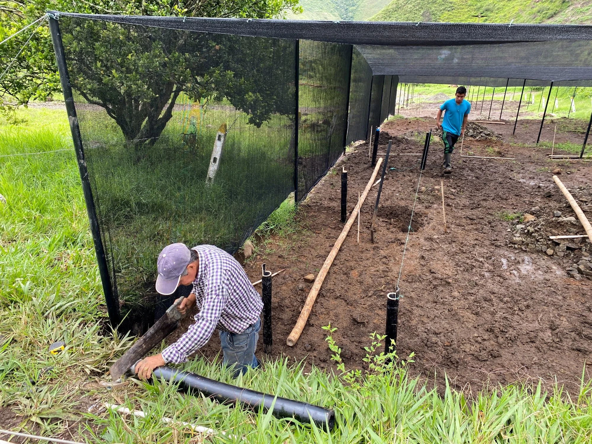 Cutting bamboo joints
