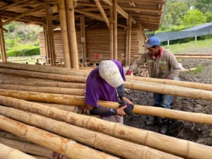 Bamboo Processing Facility