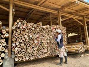 Bamboo Processing Facility