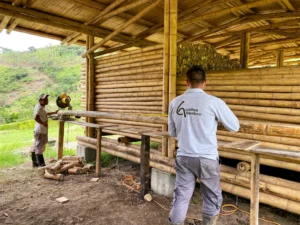 Bamboo Processing Facility