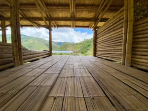 Bamboo Processing Facility