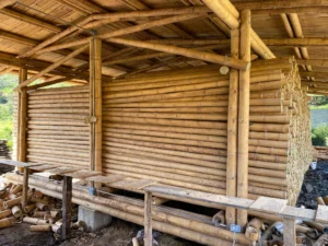 Bamboo Processing Facility