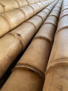 Bamboo Processing Facility