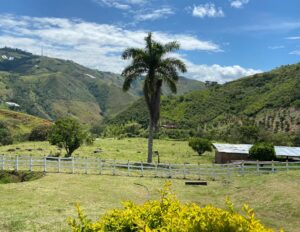 Finding Perfect Farmland in Colombia