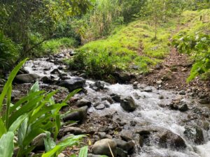 Finding Perfect Farmland in Colombia