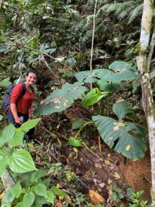 Finding Perfect Farmland in Colombia