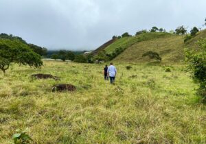 Finding Perfect Farmland in Colombia