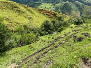 Finding Perfect Farmland in Colombia