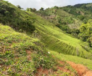 Finding Perfect Farmland in Colombia