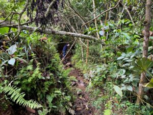 Finding Perfect Farmland in Colombia