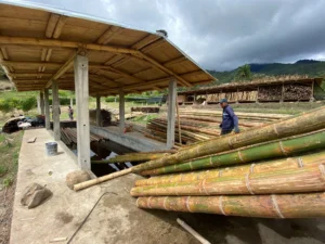 Bamboo Processing Facility