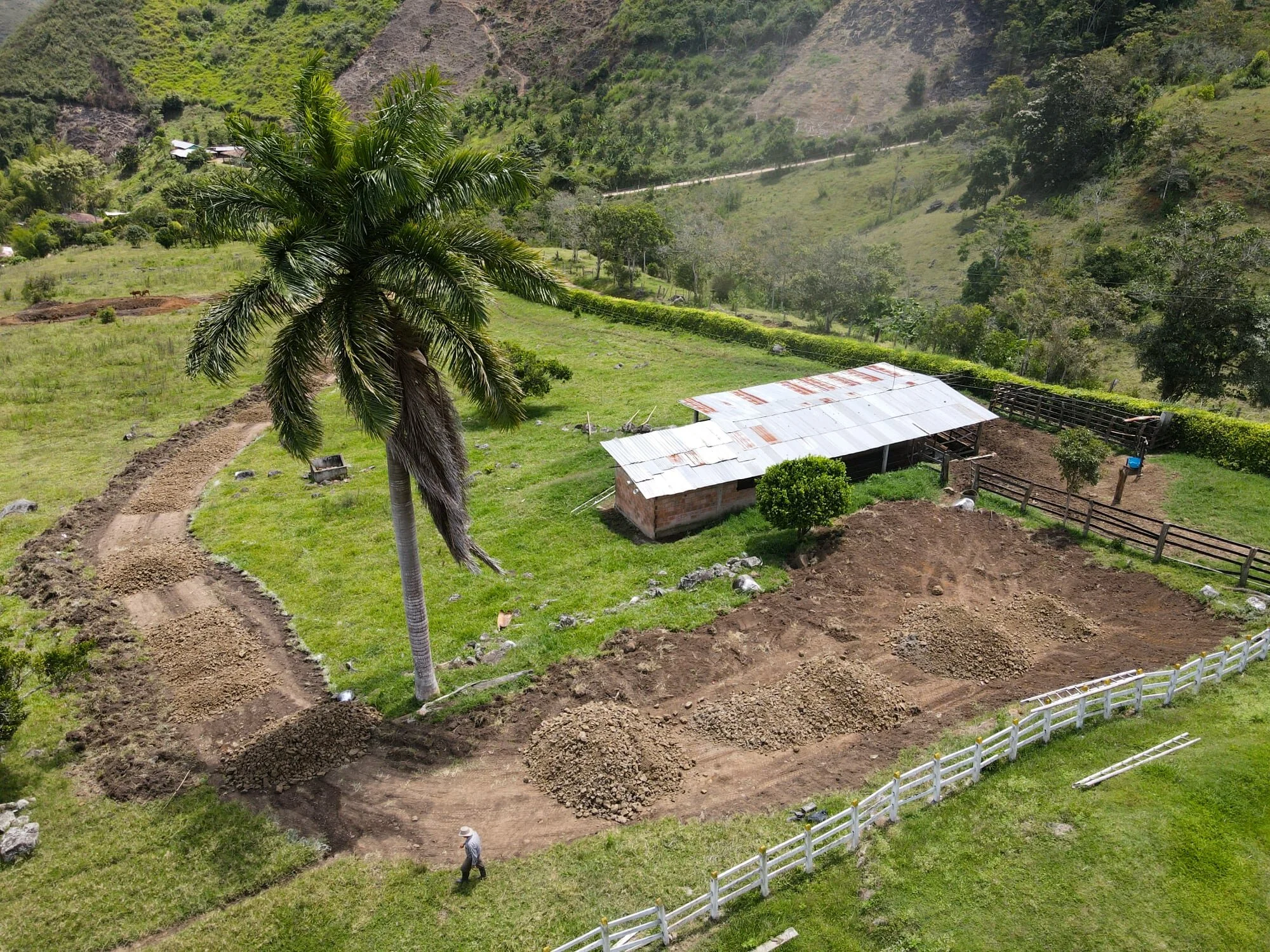 Waiting for the backhoe