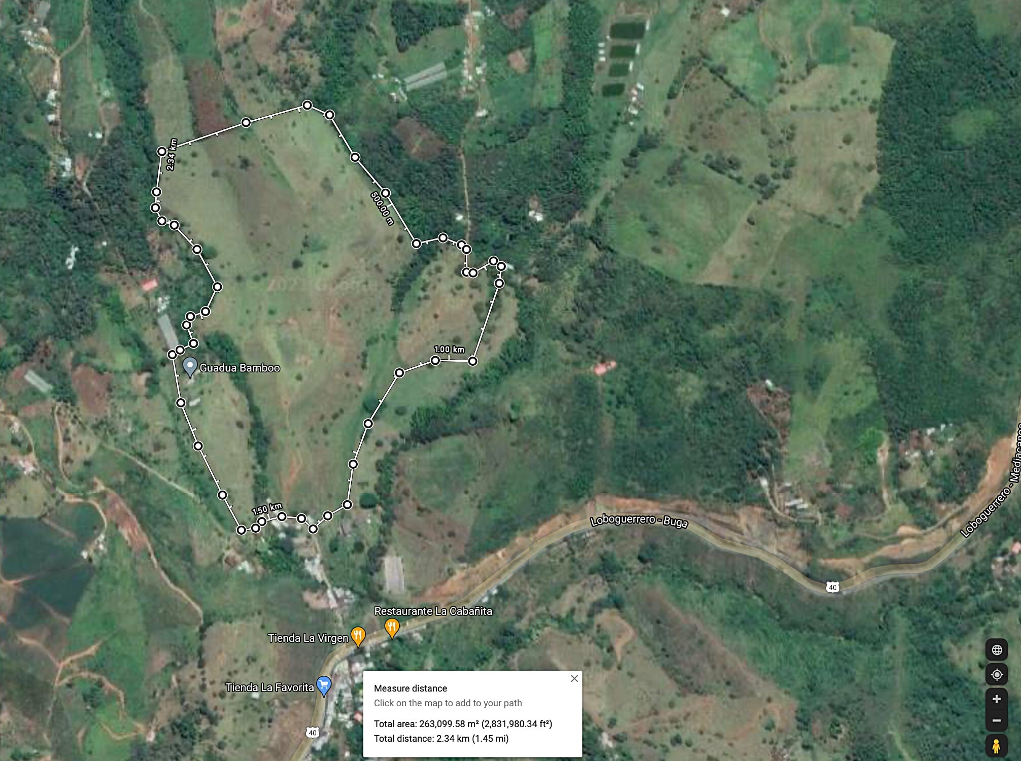Measure distances on Google Maps