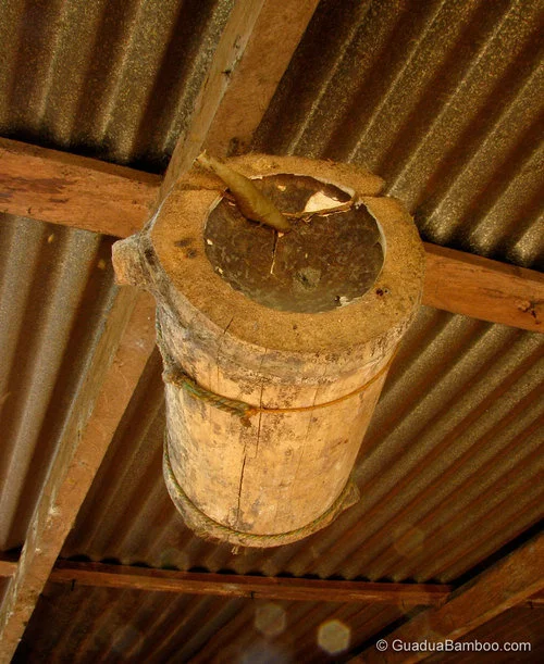 guadua-bamboo-beehive-1 Bamboo Beehives: A Unique Way To Make Your Own Honey