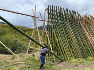 Bamboo Processing Facility