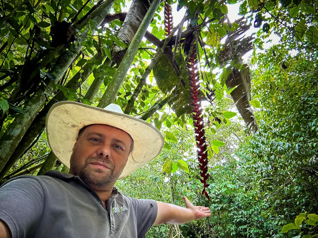 Stéphane Schröder next to the 13-meter Heliconia titanum at Hacienda Guadua Bamboo