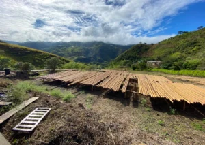Bamboo Processing Facility