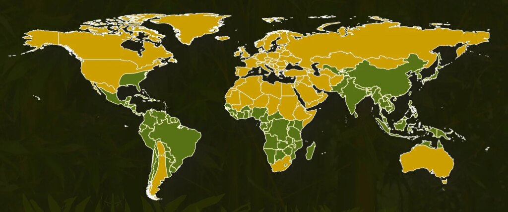 Distribution of Native Bamboos around the world