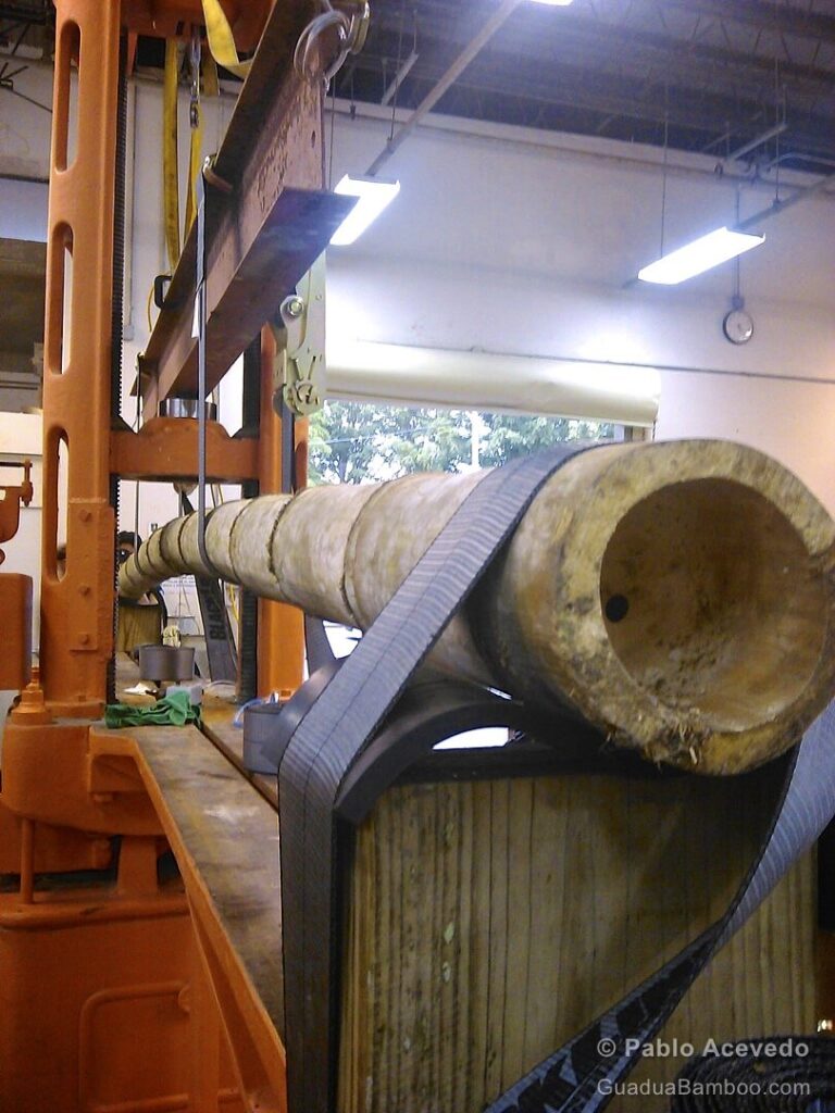 Bamboo Bending Test | Courtesy: Pablo Acevedo Bamboo Bending Test | Courtesy: Pablo Acevedo