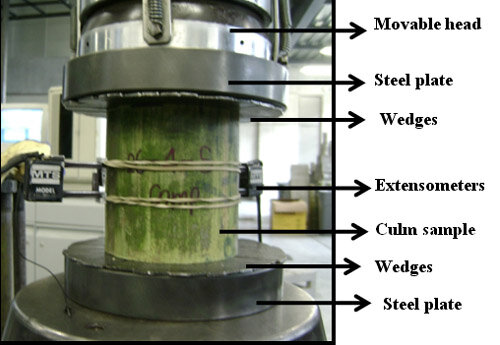 Compressive Test Setup Compressive Test Setup