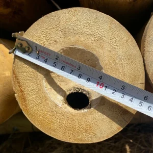 Bamboo Processing Facility