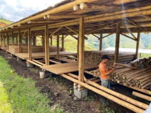 Bamboo Processing Facility