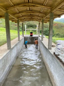 Bamboo Processing Facility