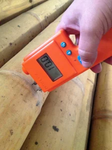 Bamboo Processing Facility