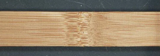Fig.3 Moso - tangential surface, inside of culm wall, with node Fig.3 Moso - tangential surface, inside of culm wall, with node