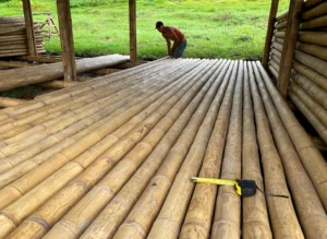 Bamboo Processing Facility