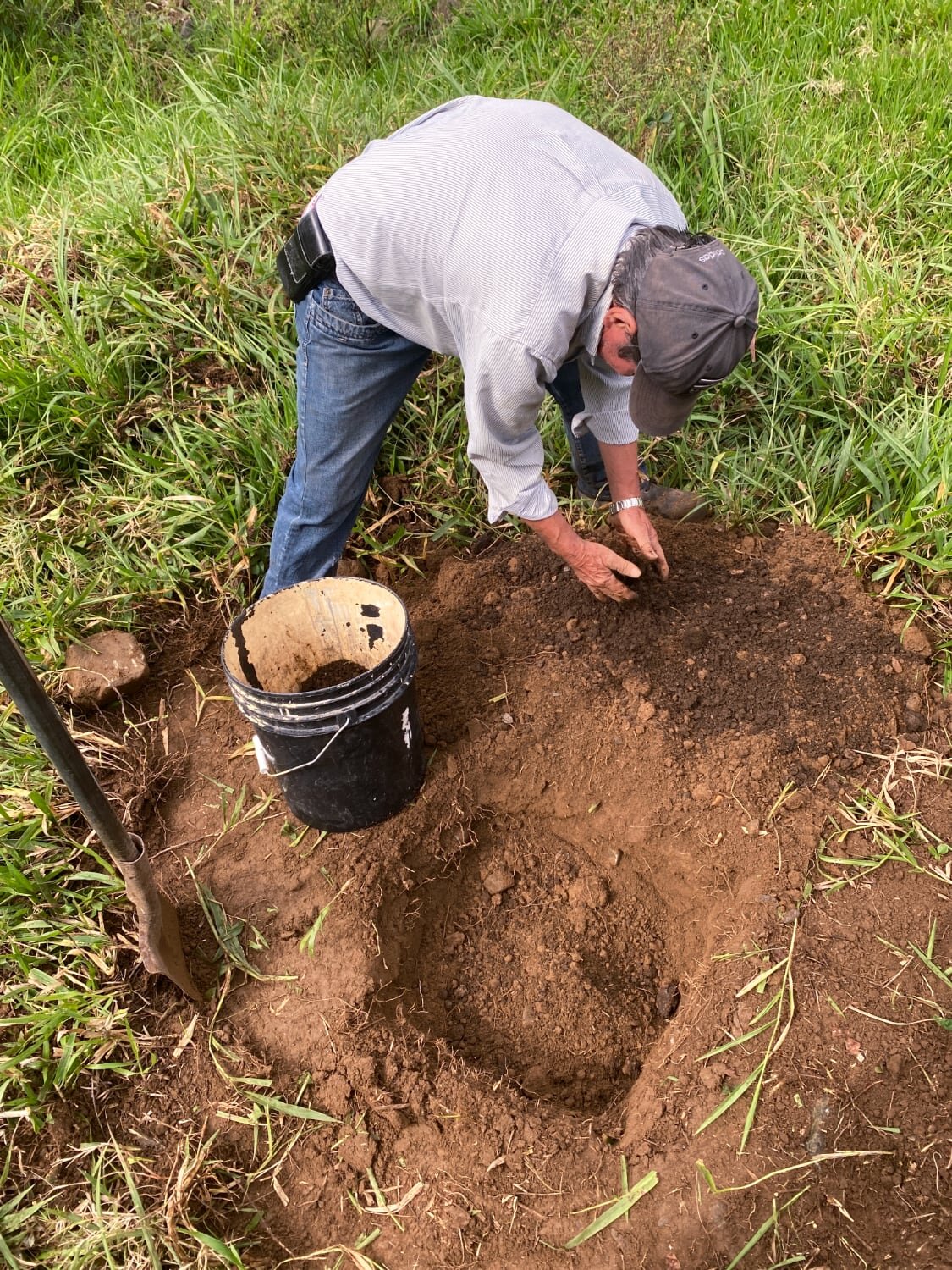 Planting of Dendrocalamus sinicus at Hacienda Guadua Bamboo Colombia Photo by: Stéphane Schröder © www.guaduabamboo.com