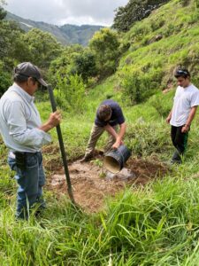 Planting of Dendrocalamus sinicus at Hacienda Guadua Bamboo Colombia Photo by: Stéphane Schröder © www.guaduabamboo.com