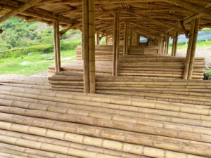 Bamboo Processing Facility