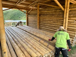 Structural Guadua Bamboo Quality Requirements