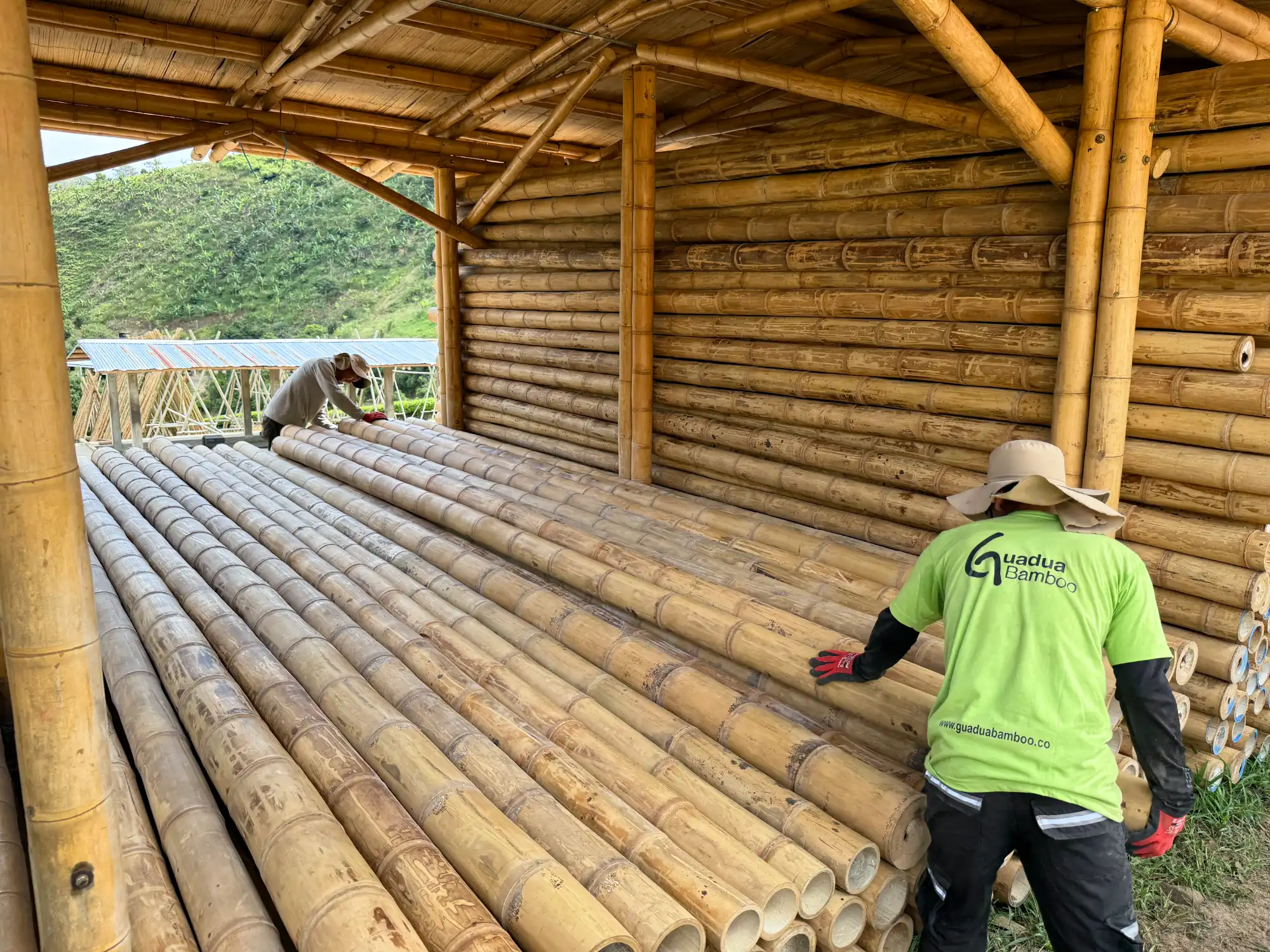 Structural Guadua Bamboo Quality Requirements