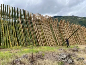 Bamboo Processing Facility