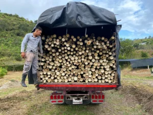 Bamboo Processing Facility