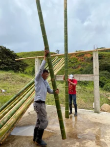 Bamboo Processing Facility