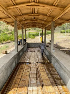 Bamboo Processing Facility