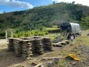 Bamboo Processing Facility