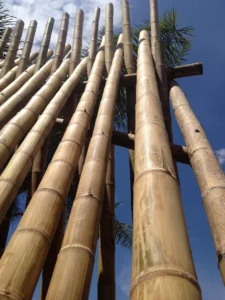Bamboo Processing Facility