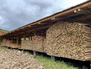 Bamboo Processing Facility