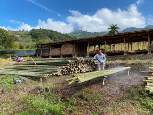 Bamboo Processing Facility
