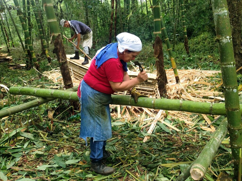 Bamboo Reduces Poverty and Provides Livelihoods for Local Farmers 8 Bamboo Reduces Poverty and Provides Livelihoods for Local Farmers