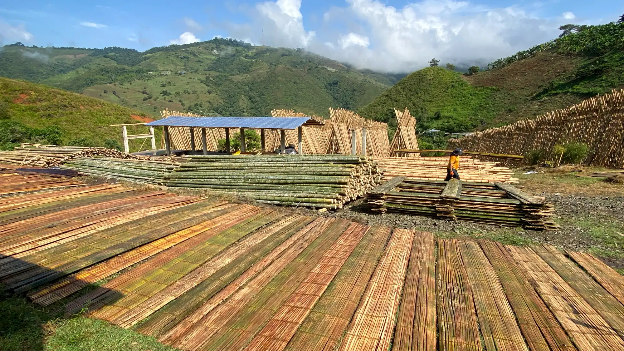 Bamboo Factory Colombia Bamboo Factory Colombia