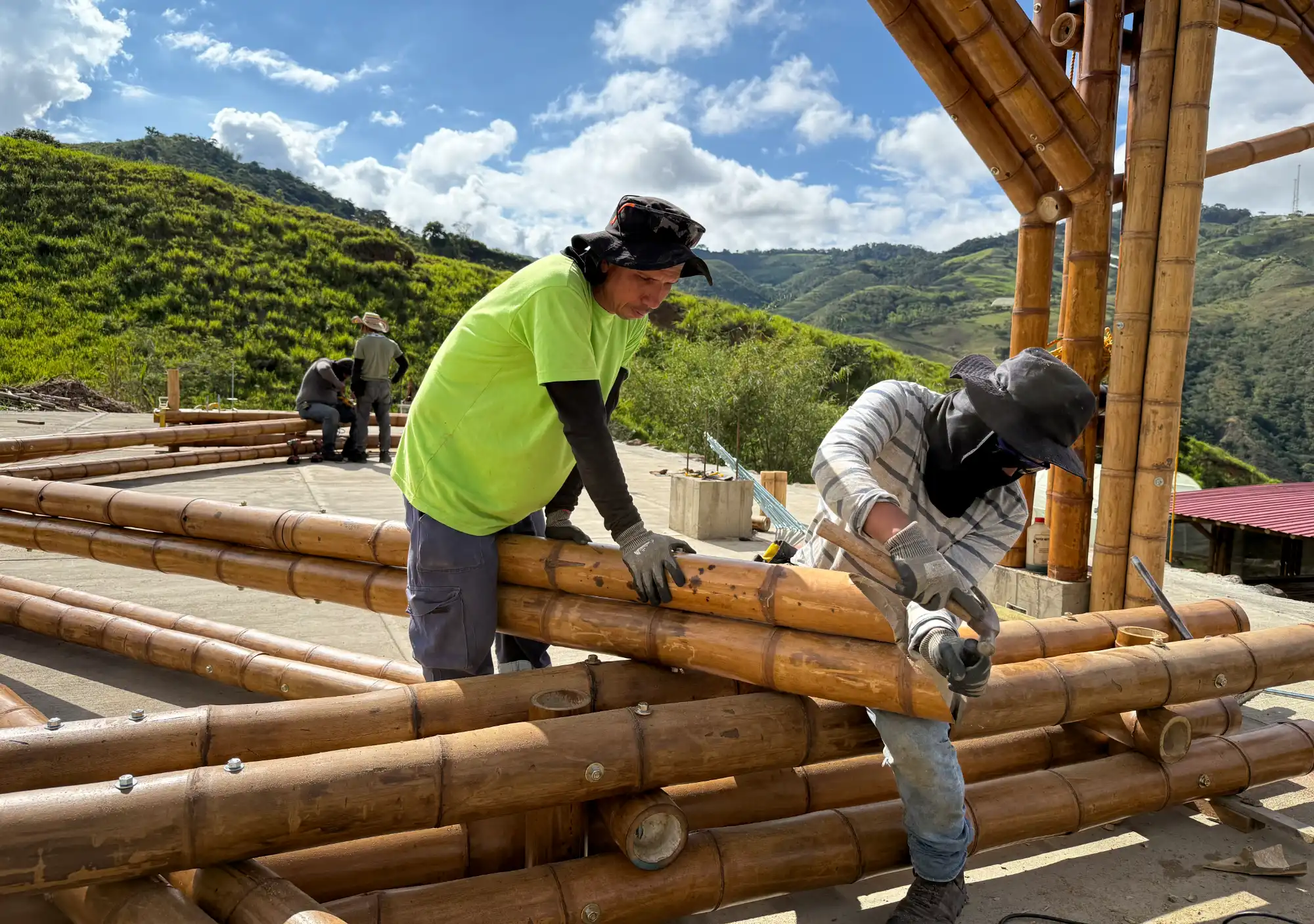 Professional builders crafting a flute-mouth cut for a structural Guadua bamboo joint.