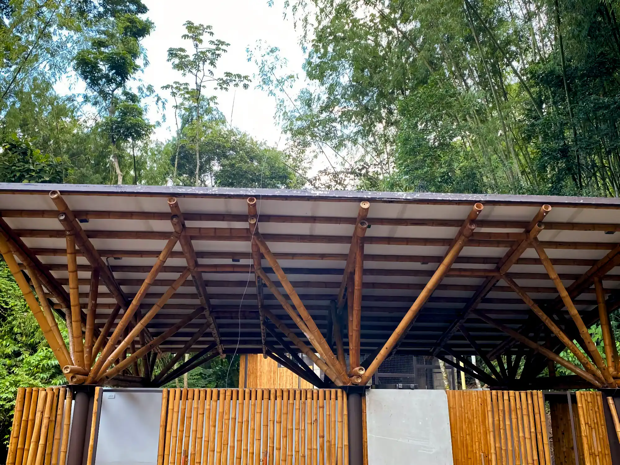 Guadua Bamboo structures at the Cerro Tusa park in Colombia