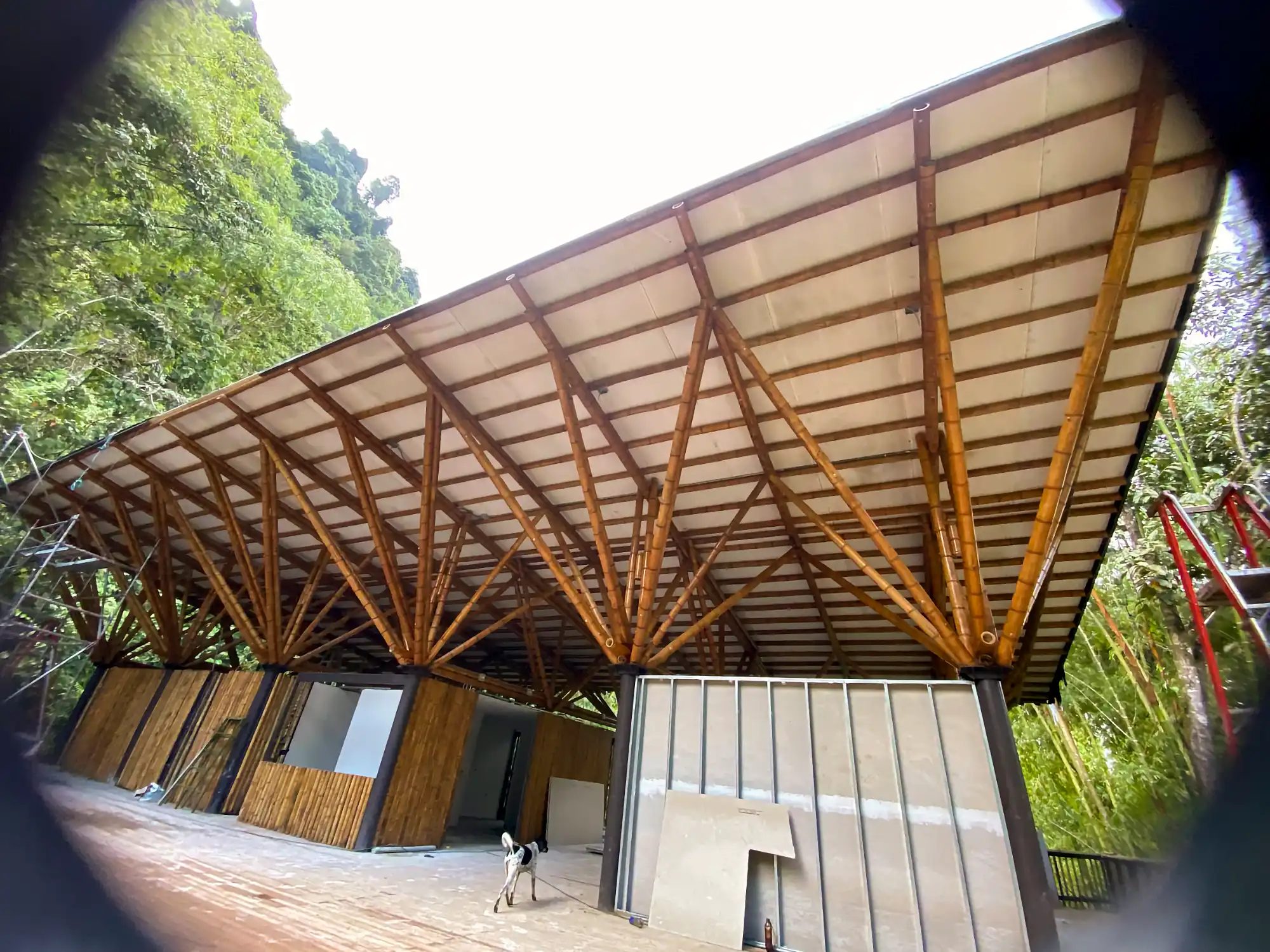 Guadua Bamboo structures at the Cerro Tusa park in Colombia