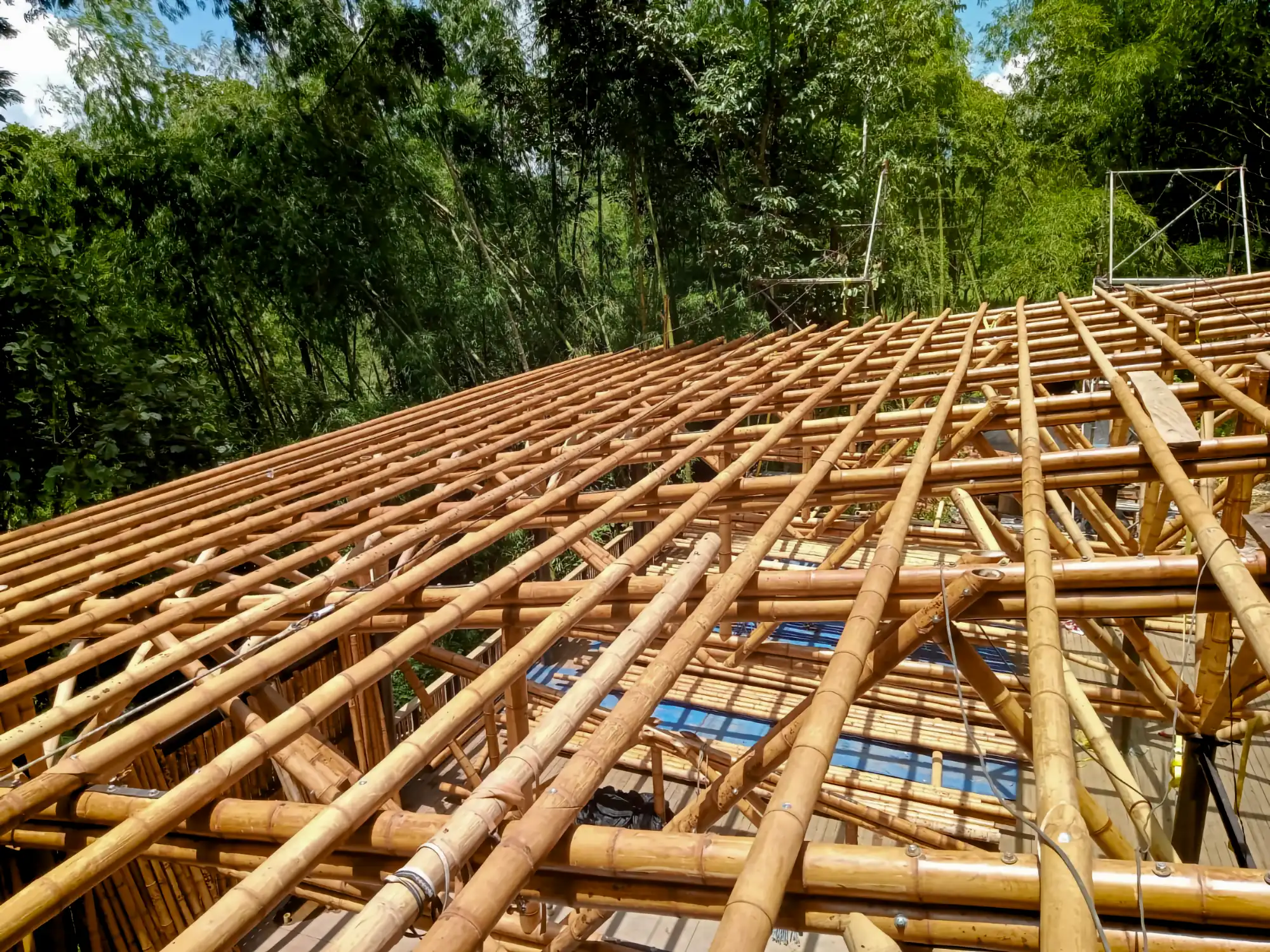 Guadua Bamboo structures at the Cerro Tusa park in Colombia