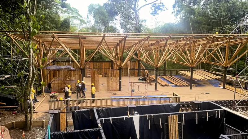 Guadua Bamboo structures at the Cerro Tusa park in Colombia
